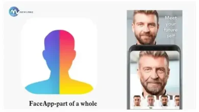 Applications of Artificial Intelligence in Mobile Phones -FaceApp-part-of-a-whole