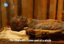 The Pharaoh's Curse-part of a whole2