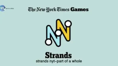 amazing strands nyt-part of a whole